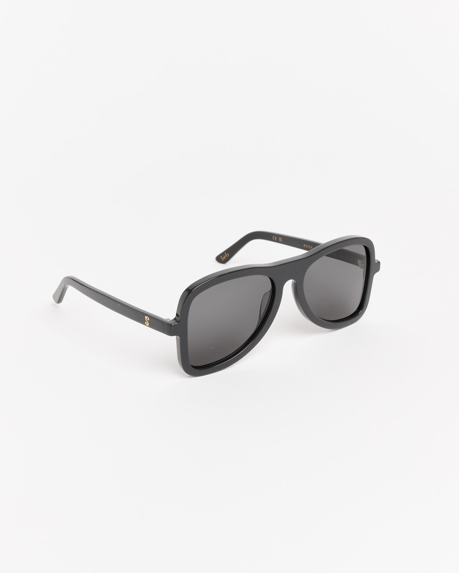 Aster Sunglasses in Black