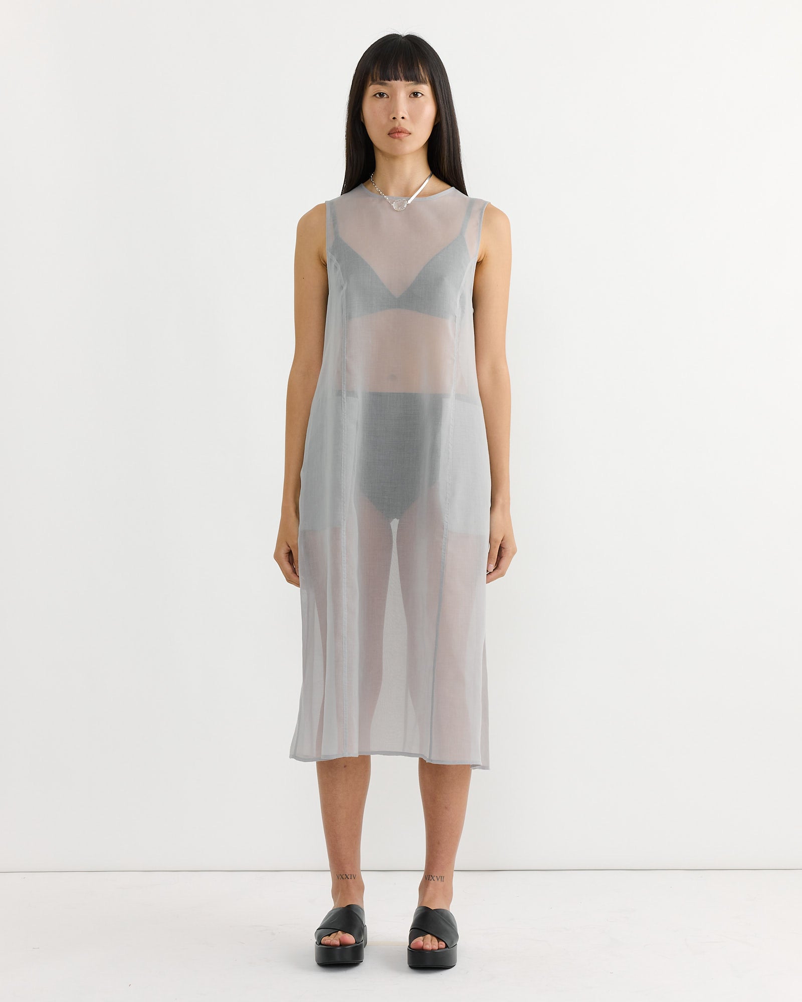 Sheer Long Dress in Grey Sheer Long Dress in Grey