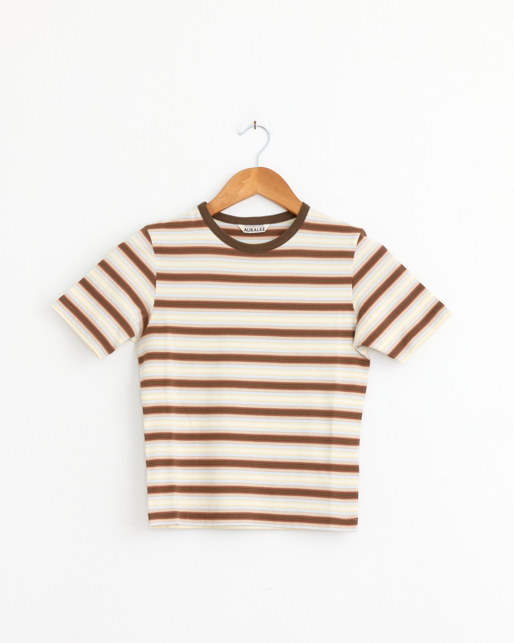 Gradient Stripe Jersey Tee in Fade Brown Stripe
