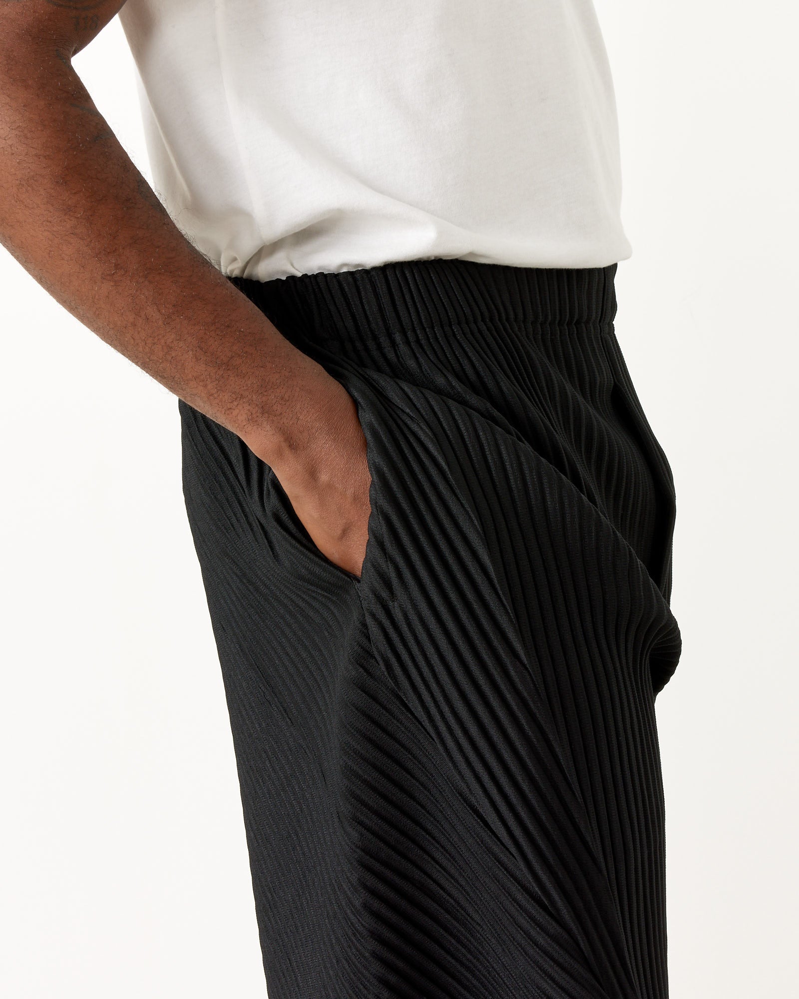 Pleats Pant 2