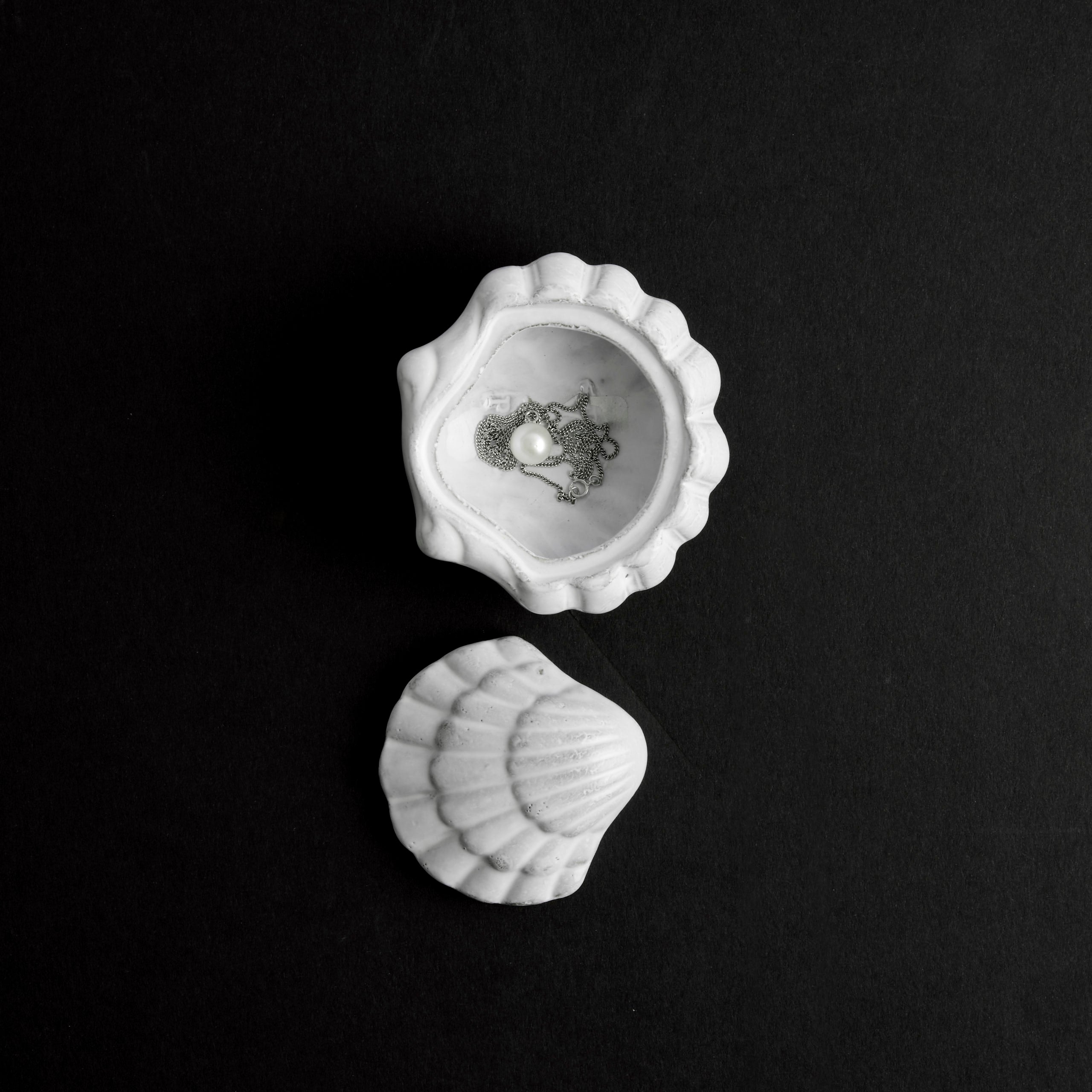 Small Coquillage Box
