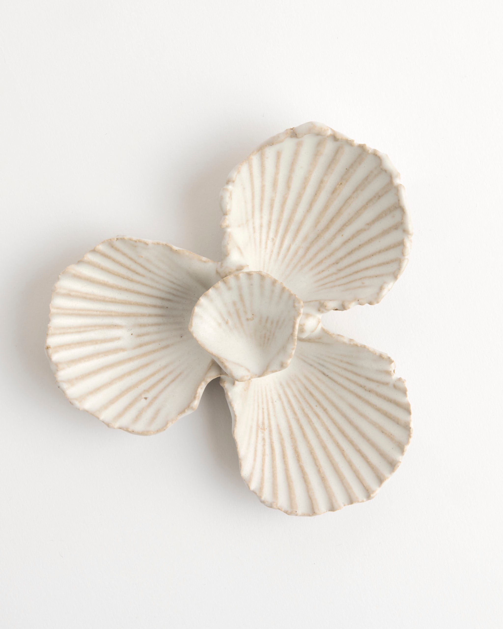 The Shell Mineral Dish by Beau Rush Ceramics features three petal-shaped, seashell-textured sections arranged in a clover-like pattern on a white background.