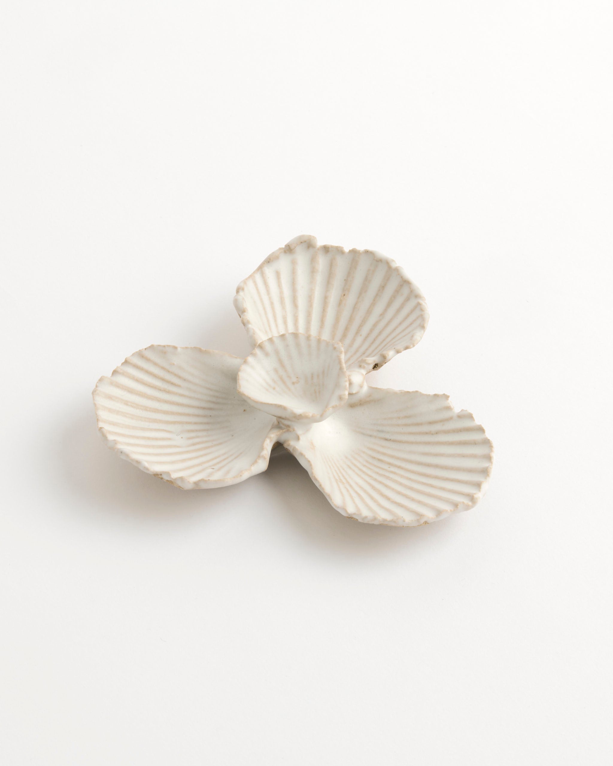 The Shell Mineral Dish by Beau Rush Ceramics features three white ceramic sections shaped like scallop shells, arranged in a clover formation on a plain white background.