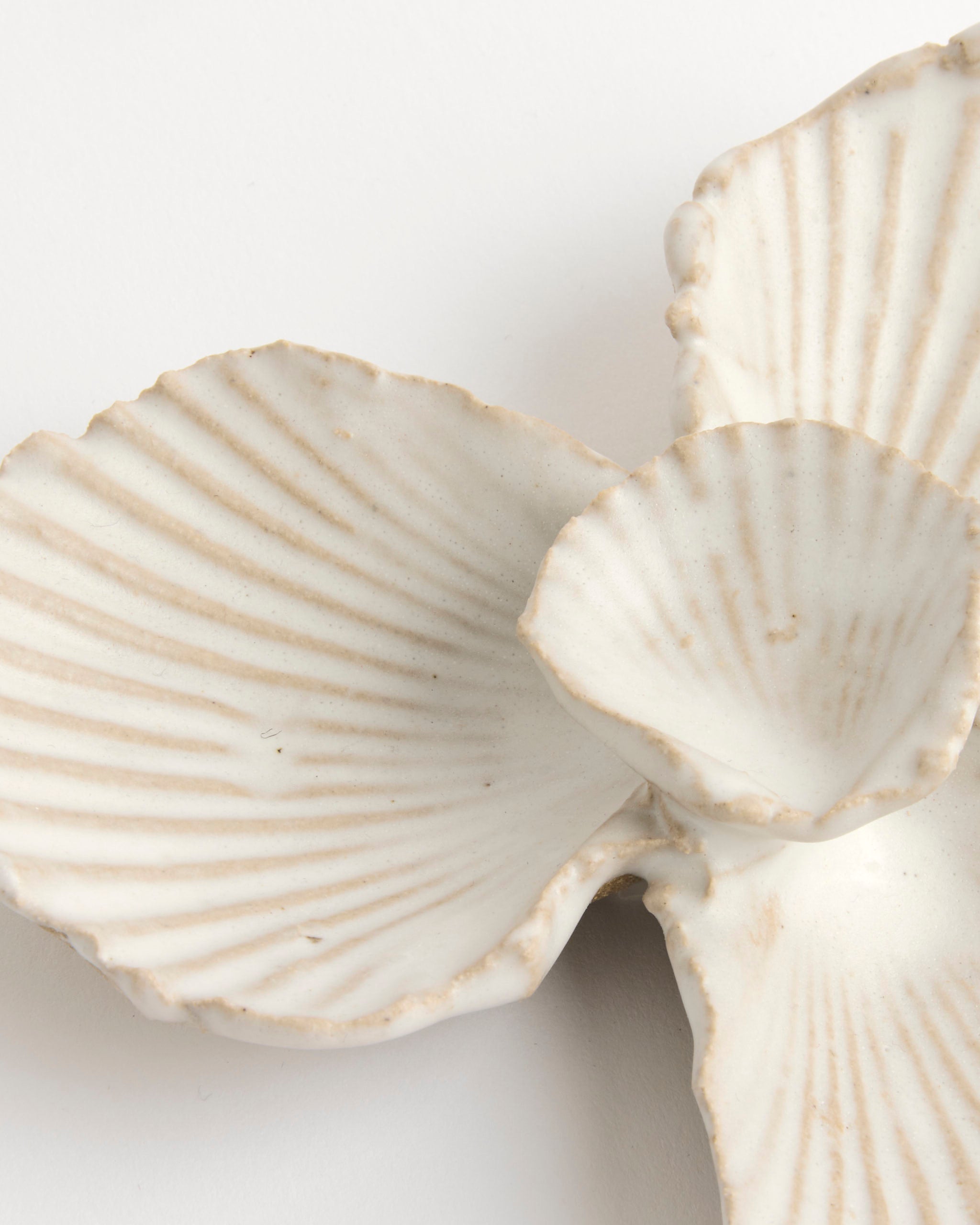 The Shell Mineral Dish by Beau Rush Ceramics features overlapping white ceramic seashells with beige lines and textured edges, shown close-up on a white surface.