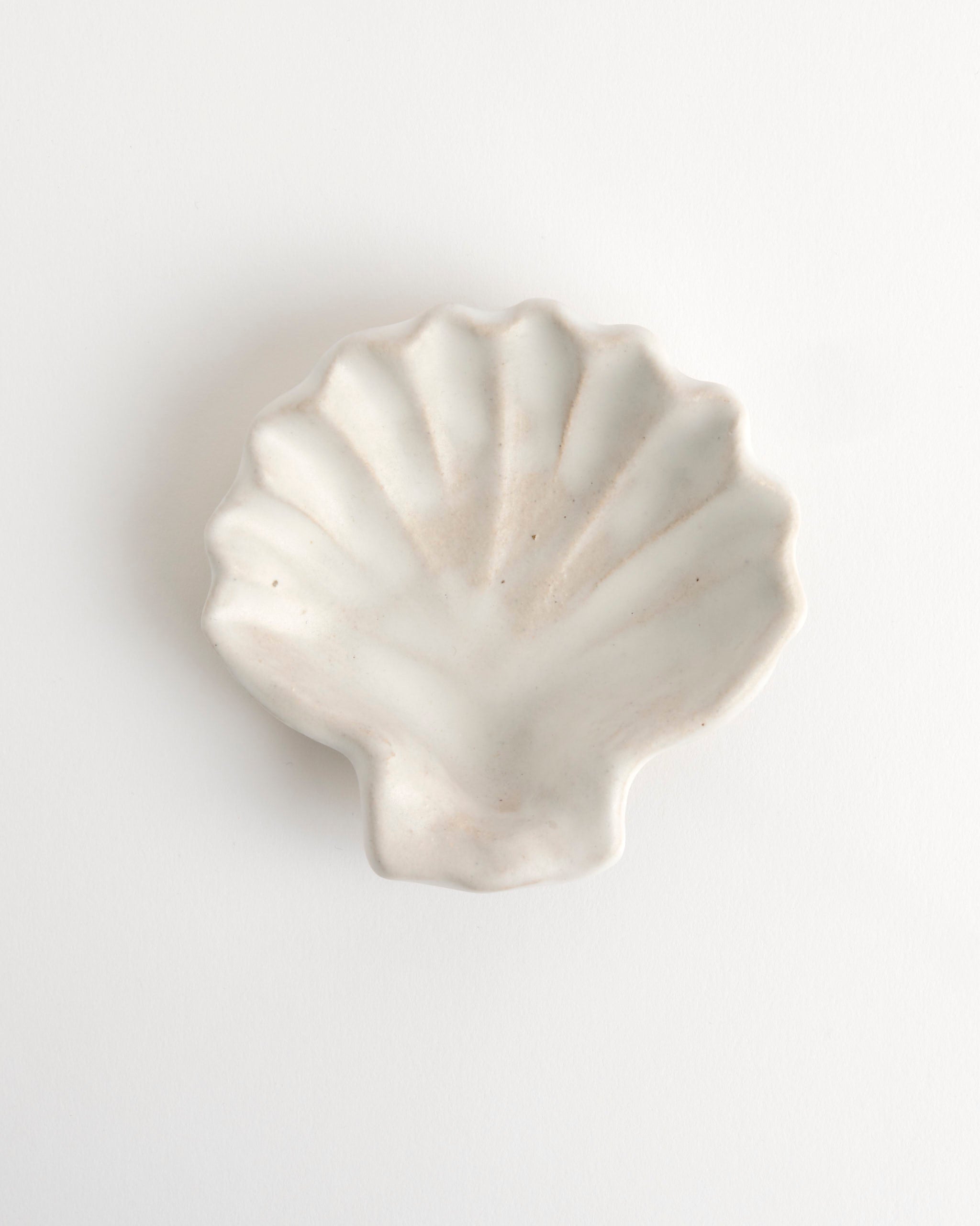 The Ariel Shell by Beau Rush Ceramics is a small, white ceramic dish shaped like a scallop shell, displayed on a plain white background.