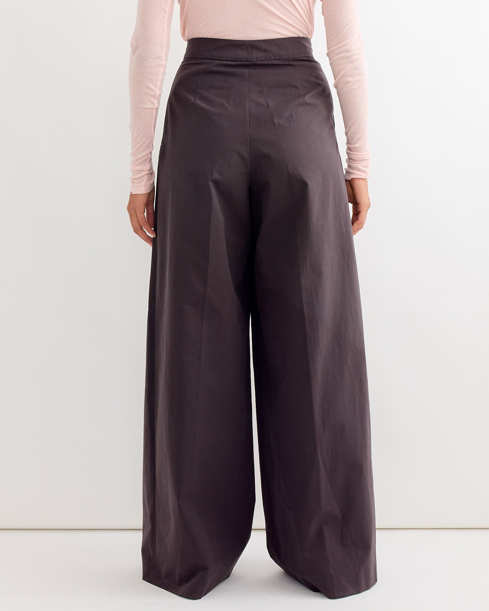 A person faces away, wearing Dries Van Noten Pleated Wide Leg Pant in Dark Brown and a fitted light pink long-sleeve top, set against a plain white background.