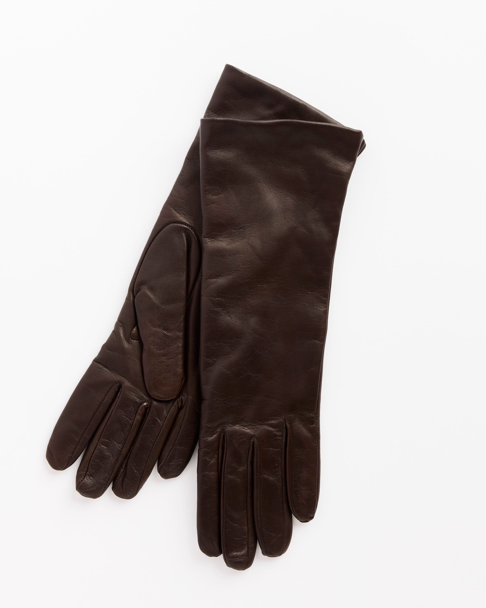 Clyde Gloves Espresso - Espresso / 6.5 (275909)
