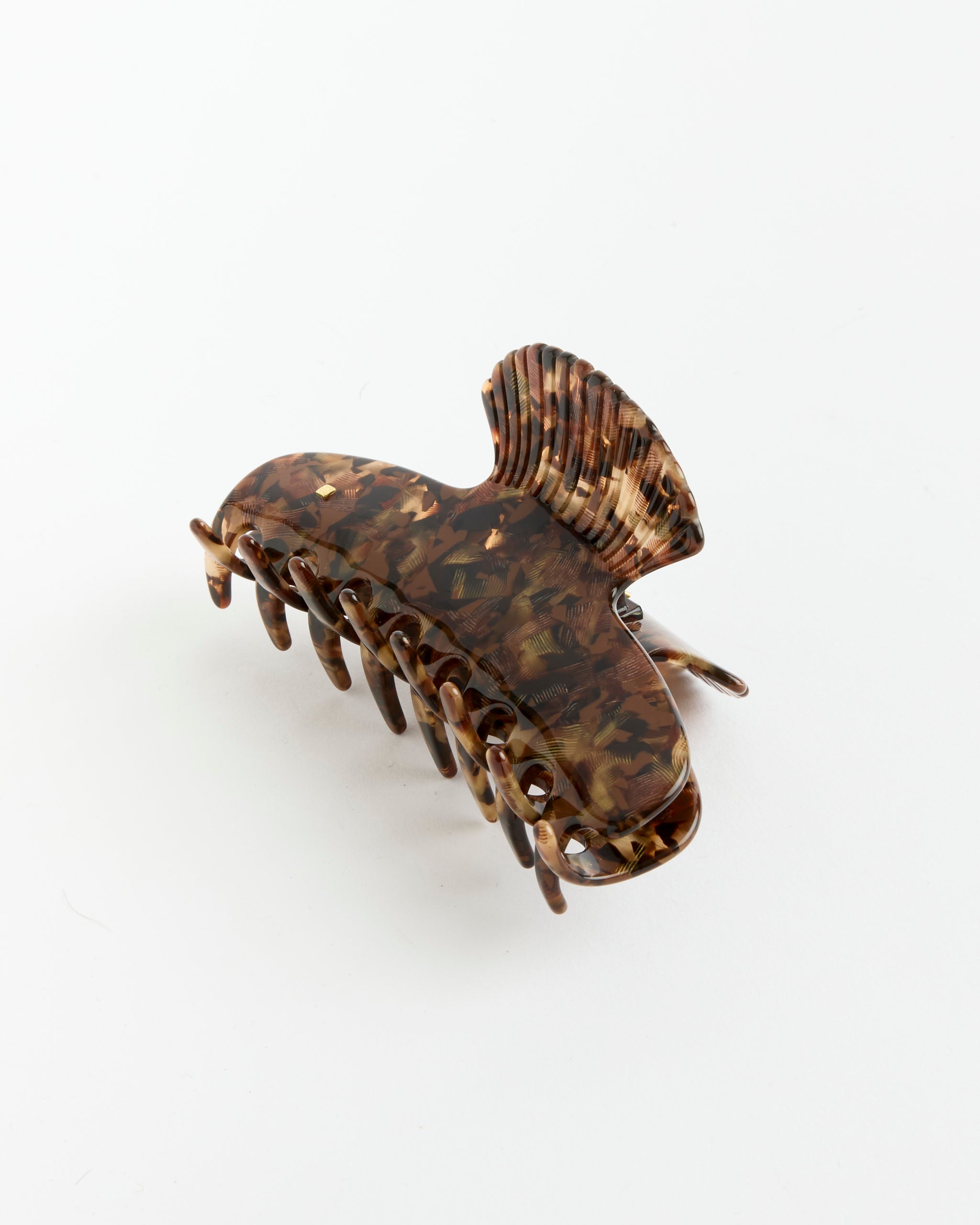 Fan Shell Claw in Ecaille