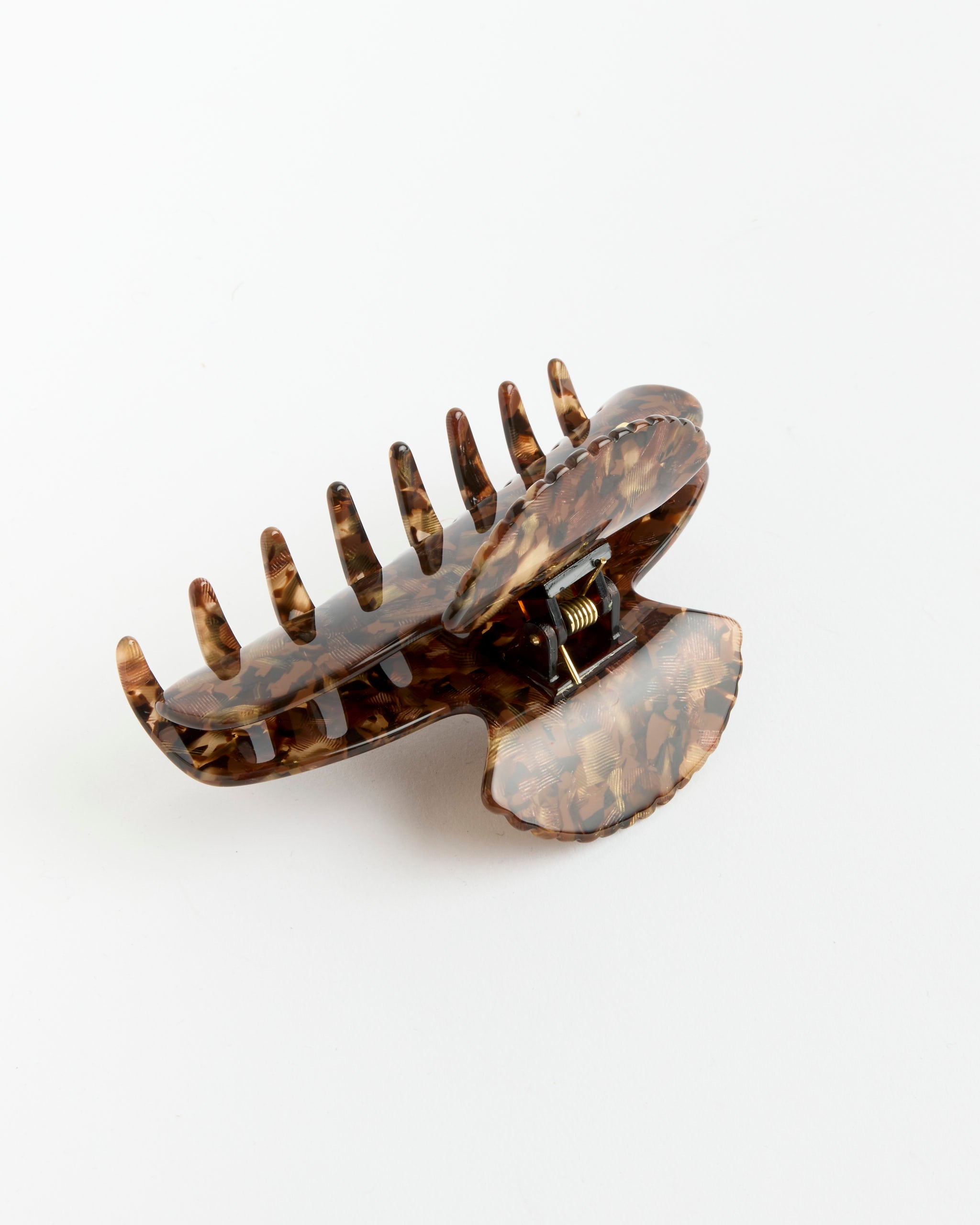 Fan Shell Claw in Ecaille