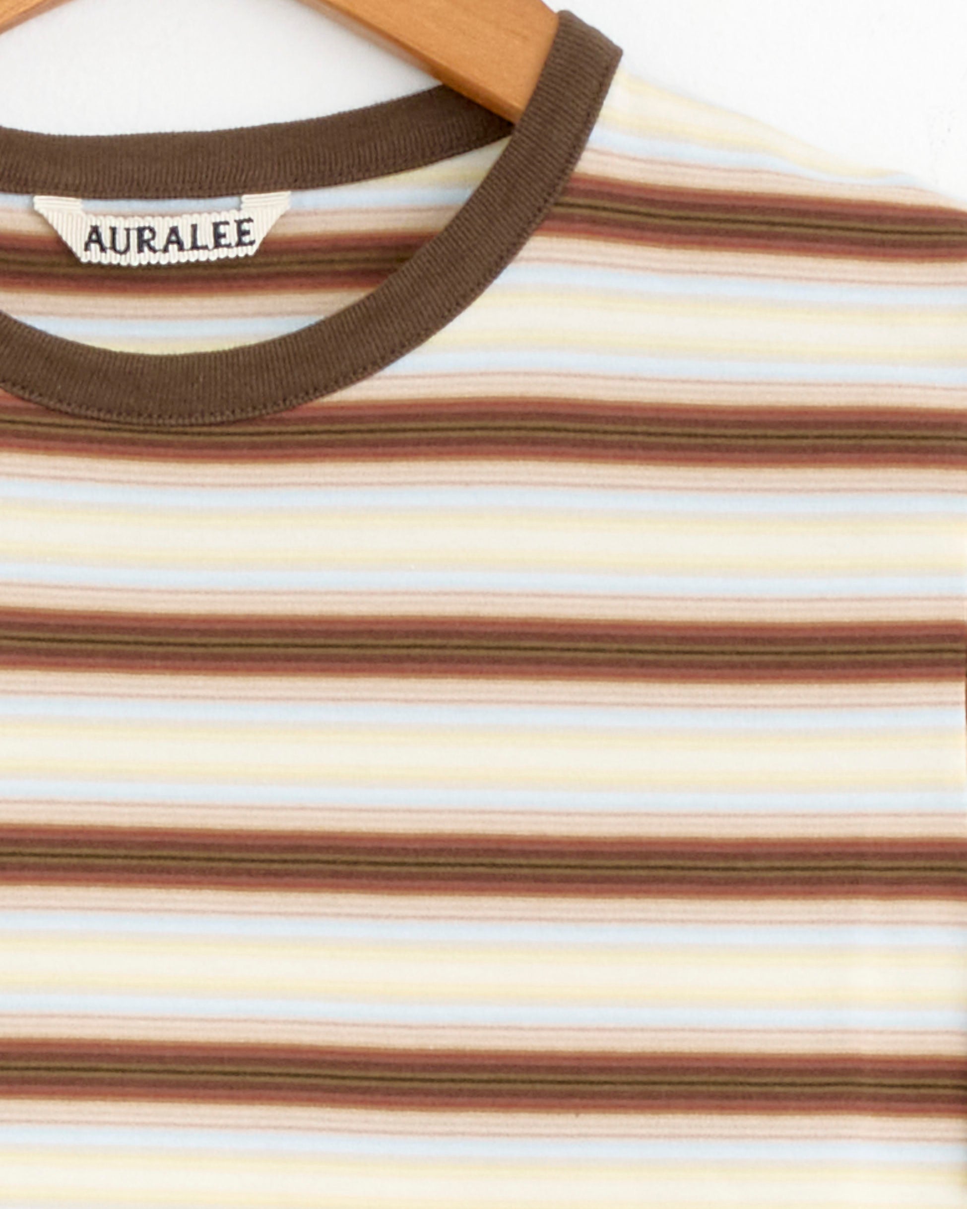 Gradient Stripe Jersey Tee in Fade Brown Stripe