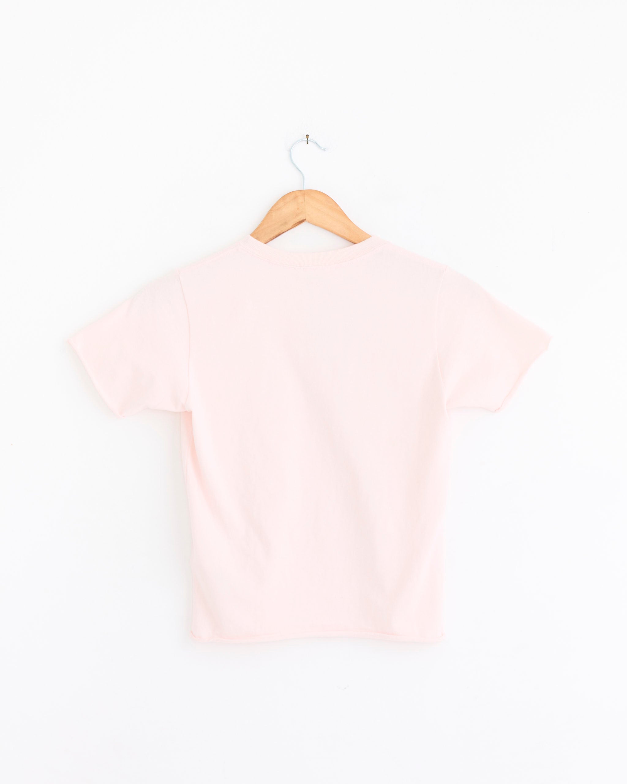 The Auralee Brushed Cotton Jersey Tee in Pale Pink, featuring short sleeves, is displayed on a wooden hanger with the back facing forward against a white background.