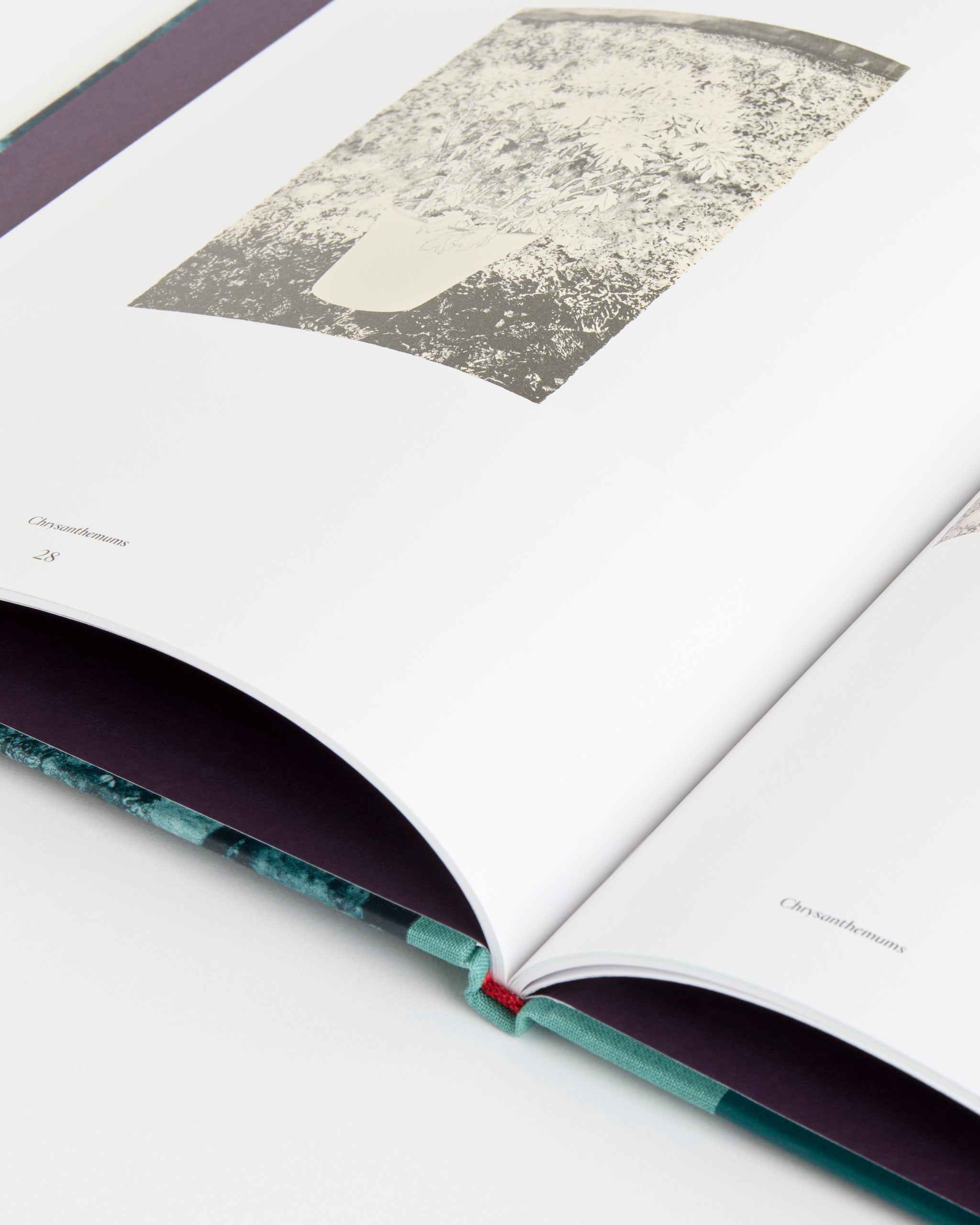Artbook Ruth Asawa: The Tamarind Prints - Default Title (281107)