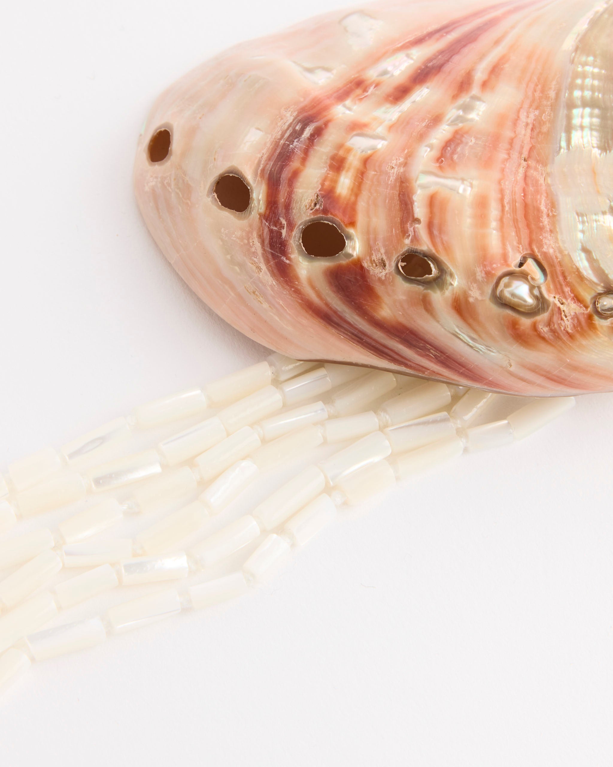 Mosquito Abalone Brooch - Default Title (281861)