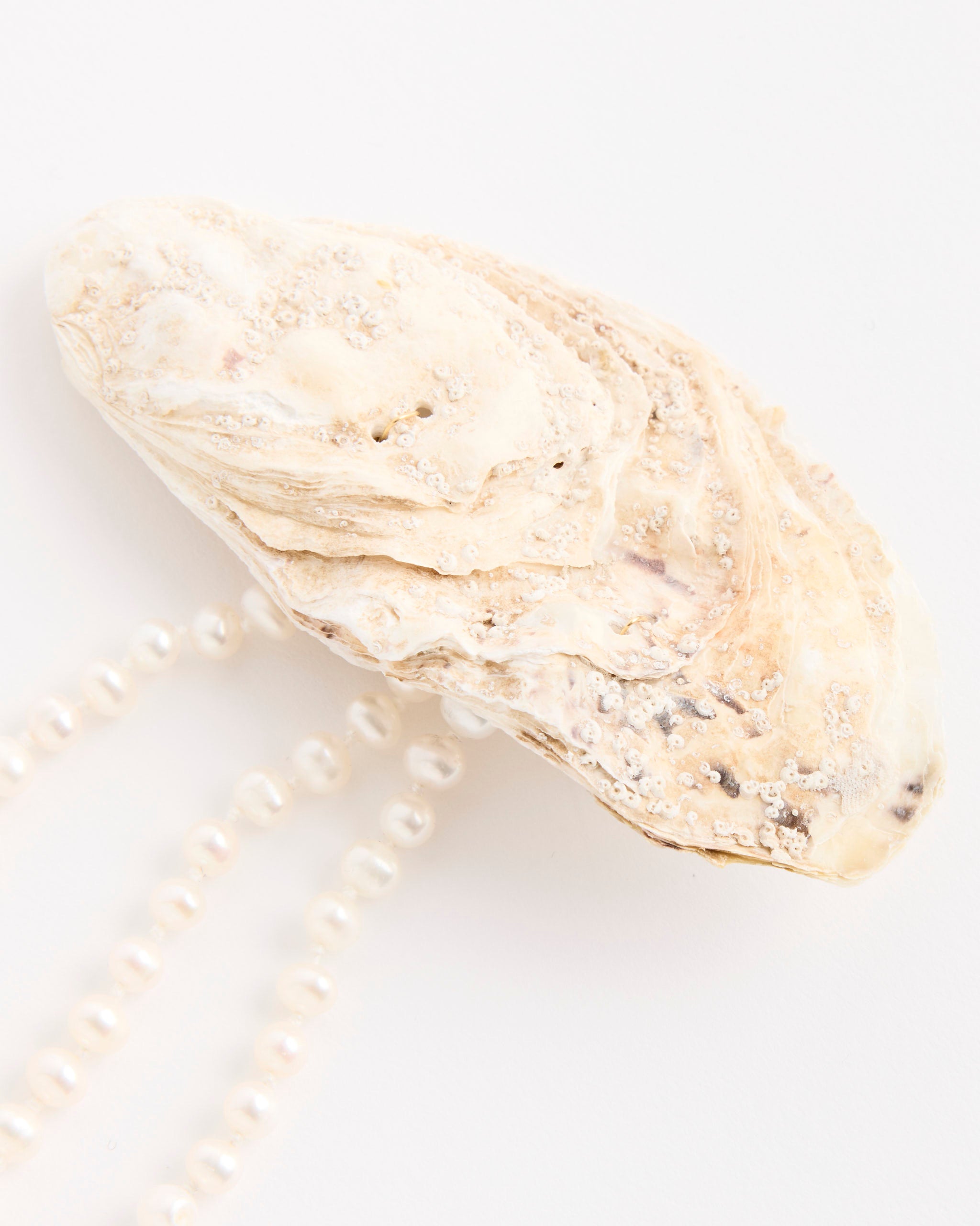 Mosquito Pearly Hair Clip - Default Title (281862)