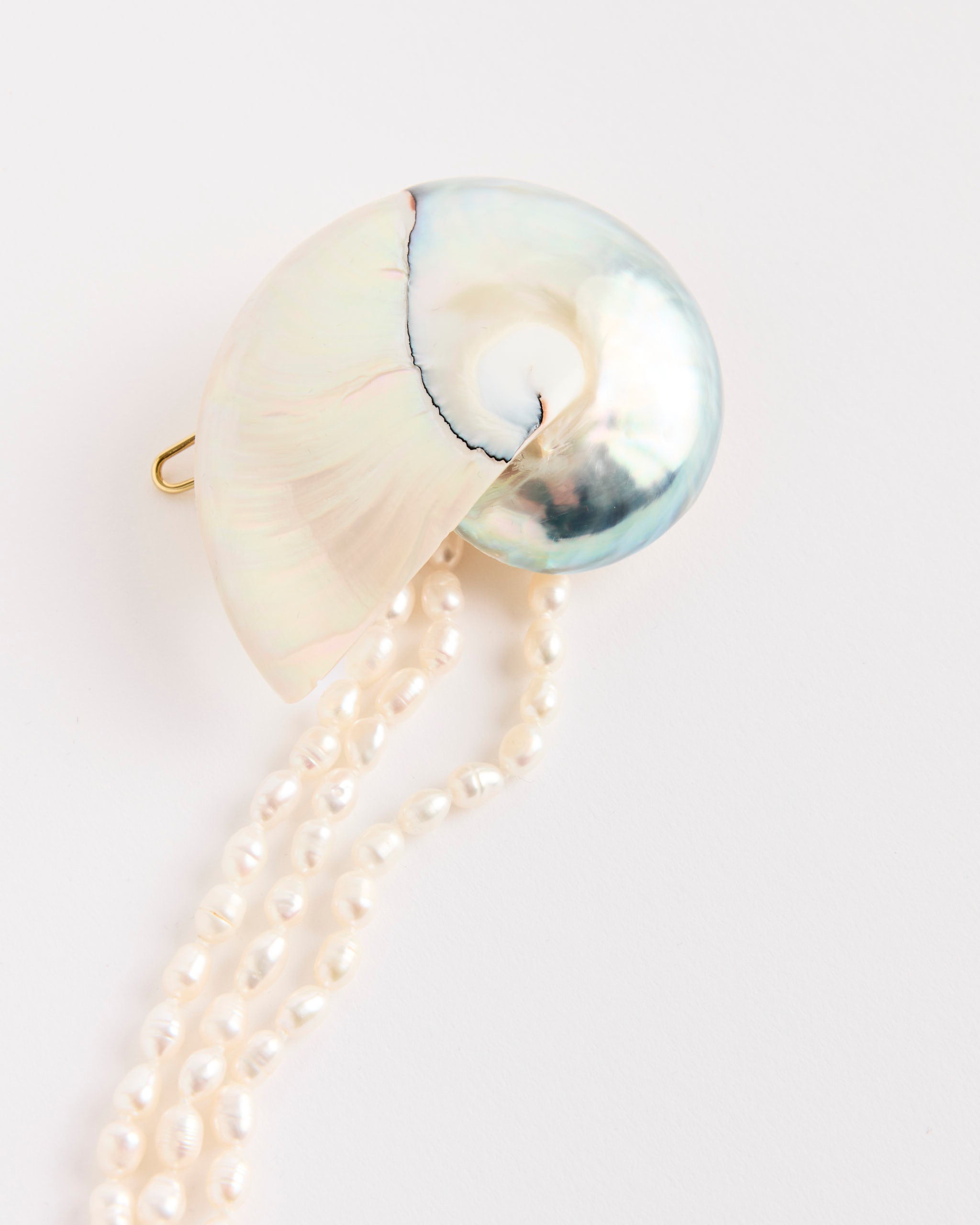 Mosquito Shell Hair Clip - Default Title (281867)