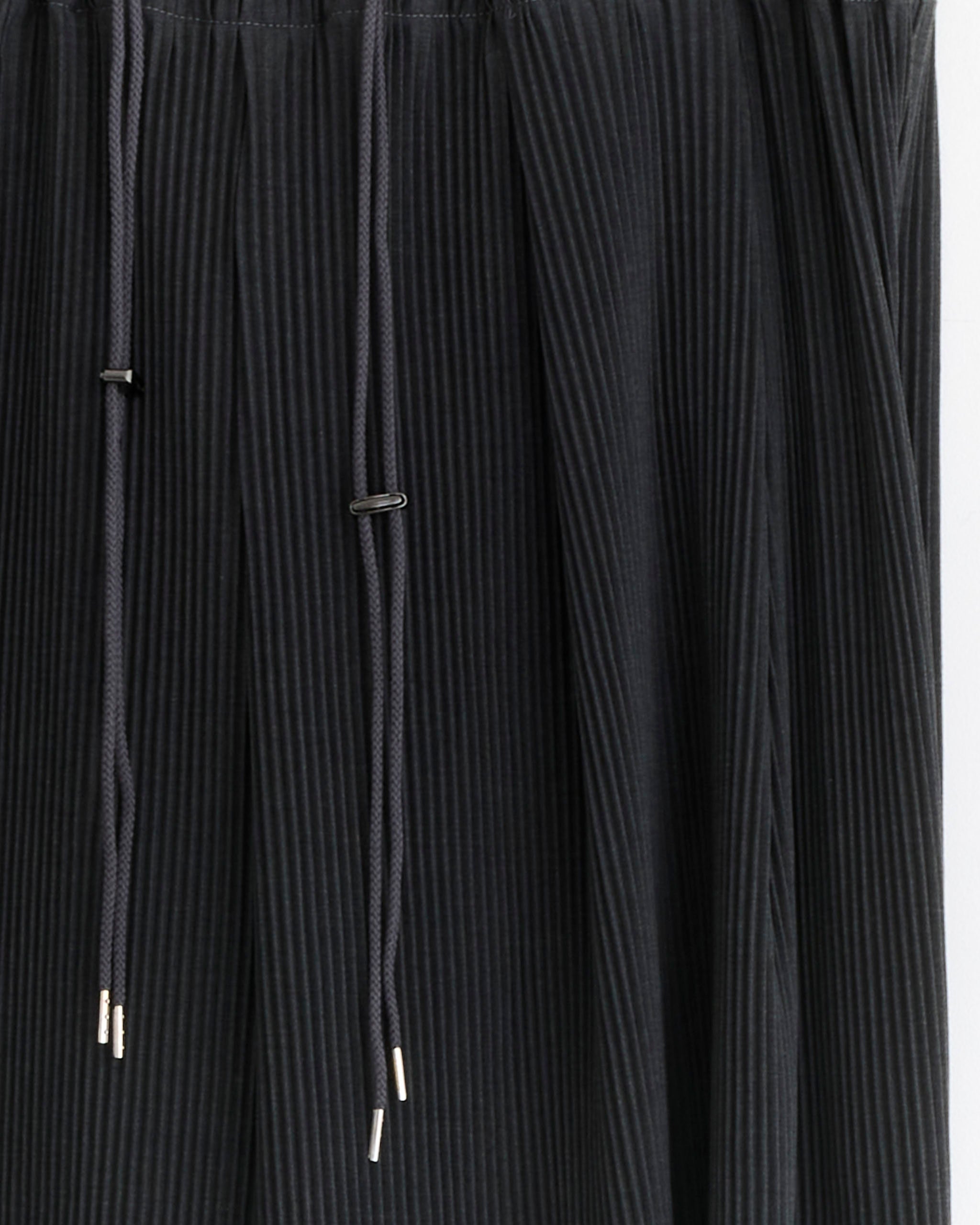 Sillage Pleats Circular Pant - Anthracite / OS (281916)