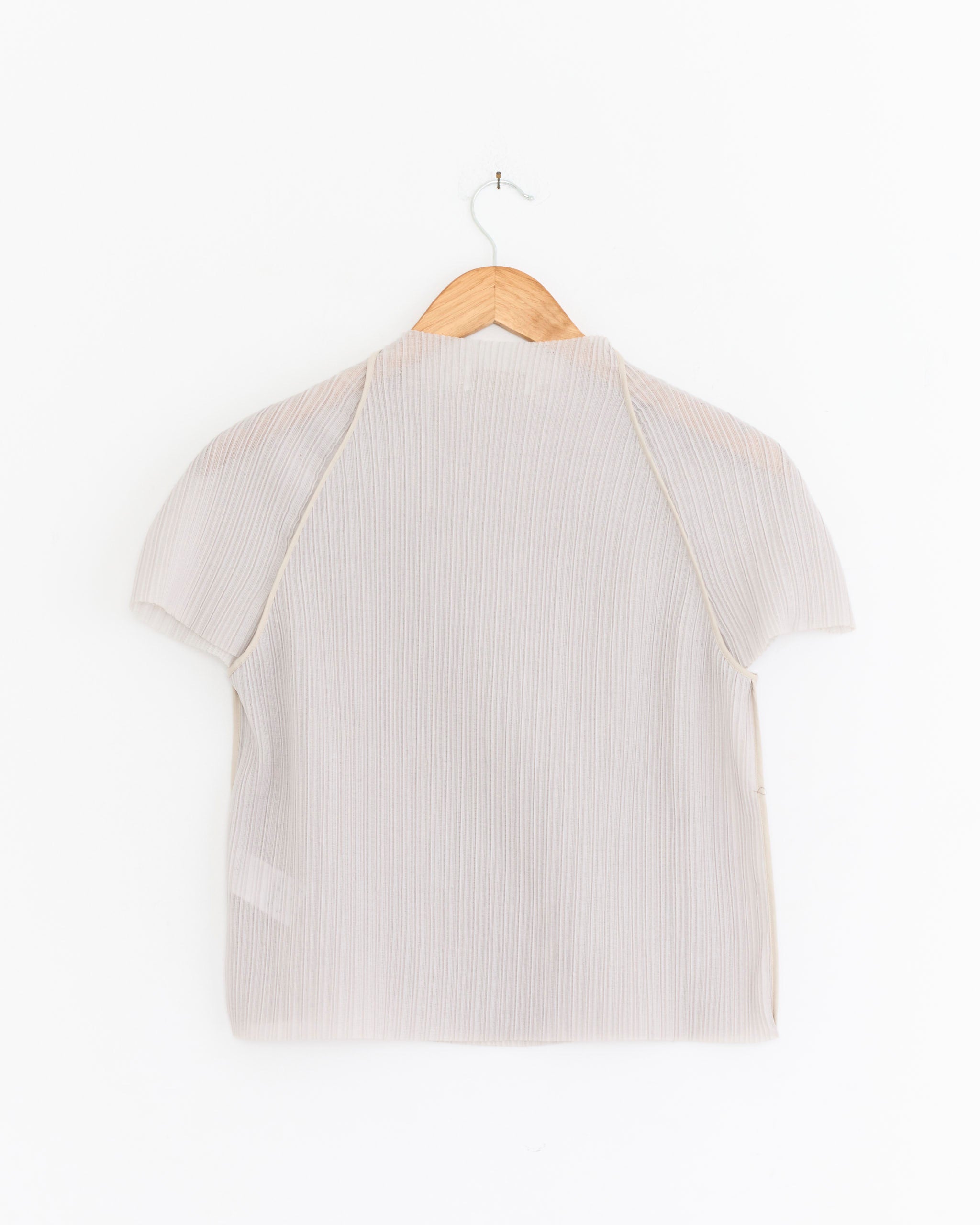The Amomento Pleats Raglan Top in Beige, featuring short sleeves and subtle vertical stripes, hangs on a wooden hanger against a white background—a sheer, breathable choice for summer.