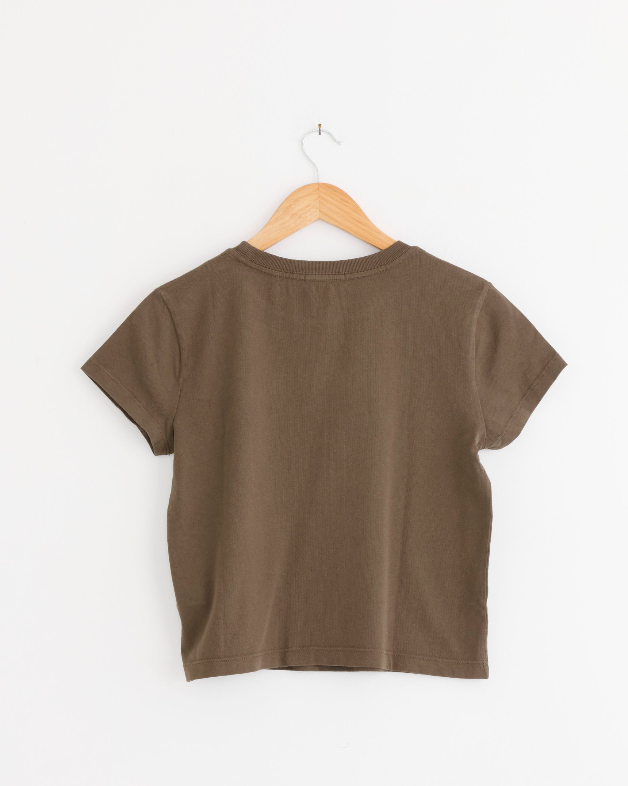 The Adine Shrunken Tee in Uniform by AGOLDE is displayed from the back, hanging on a wooden hanger against a white background.