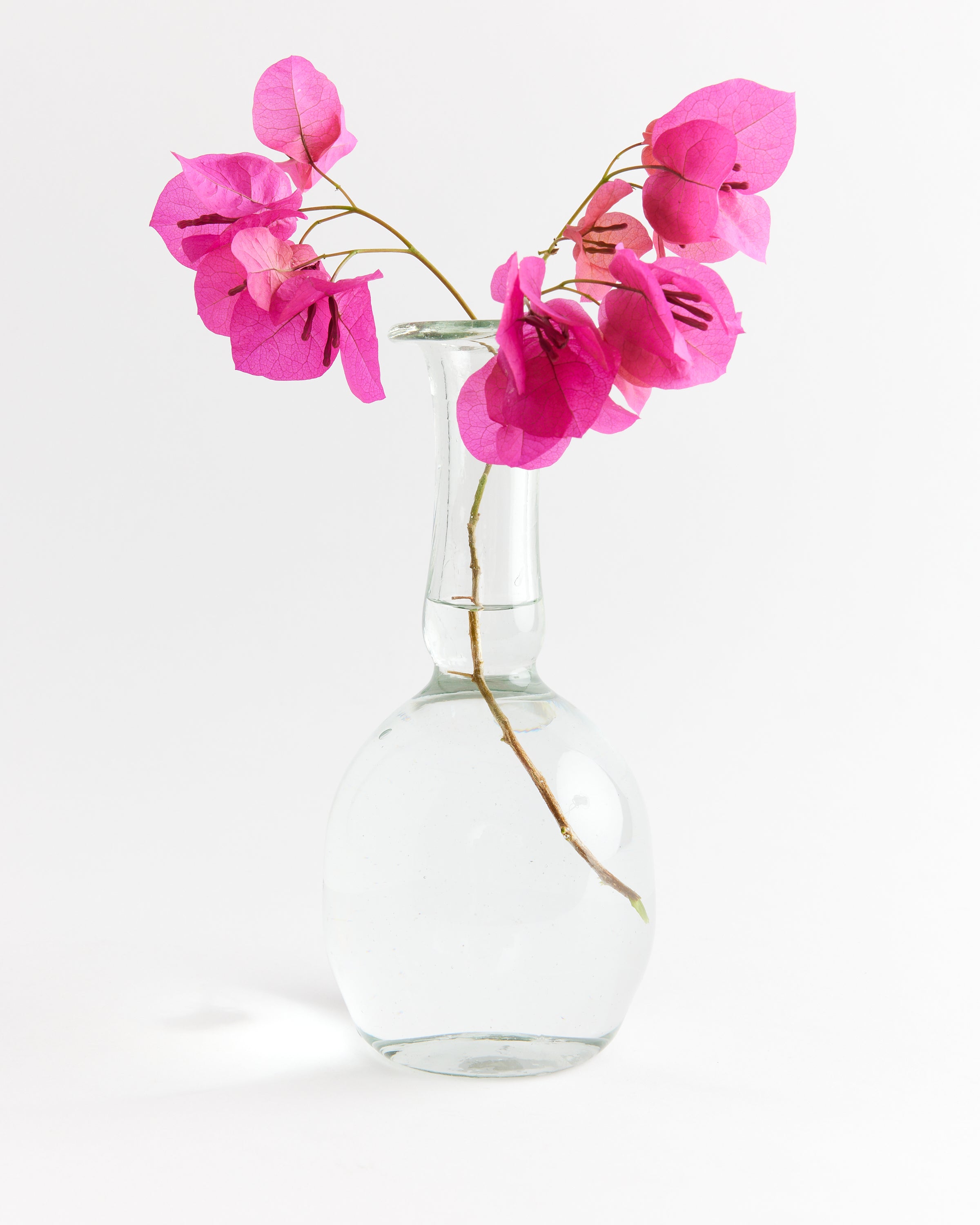 Capelli Vase in Transparent