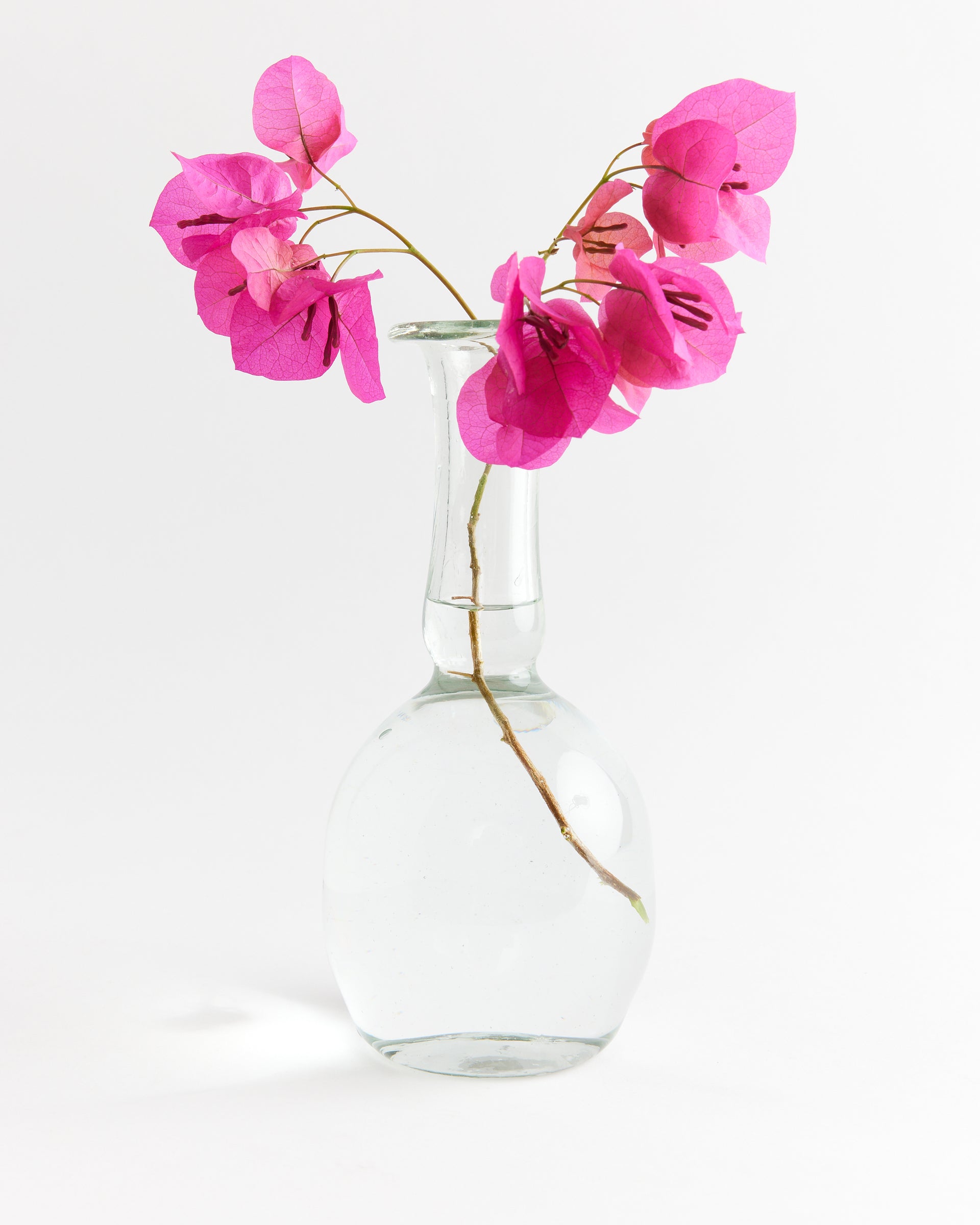 Capelli Vase Transparent