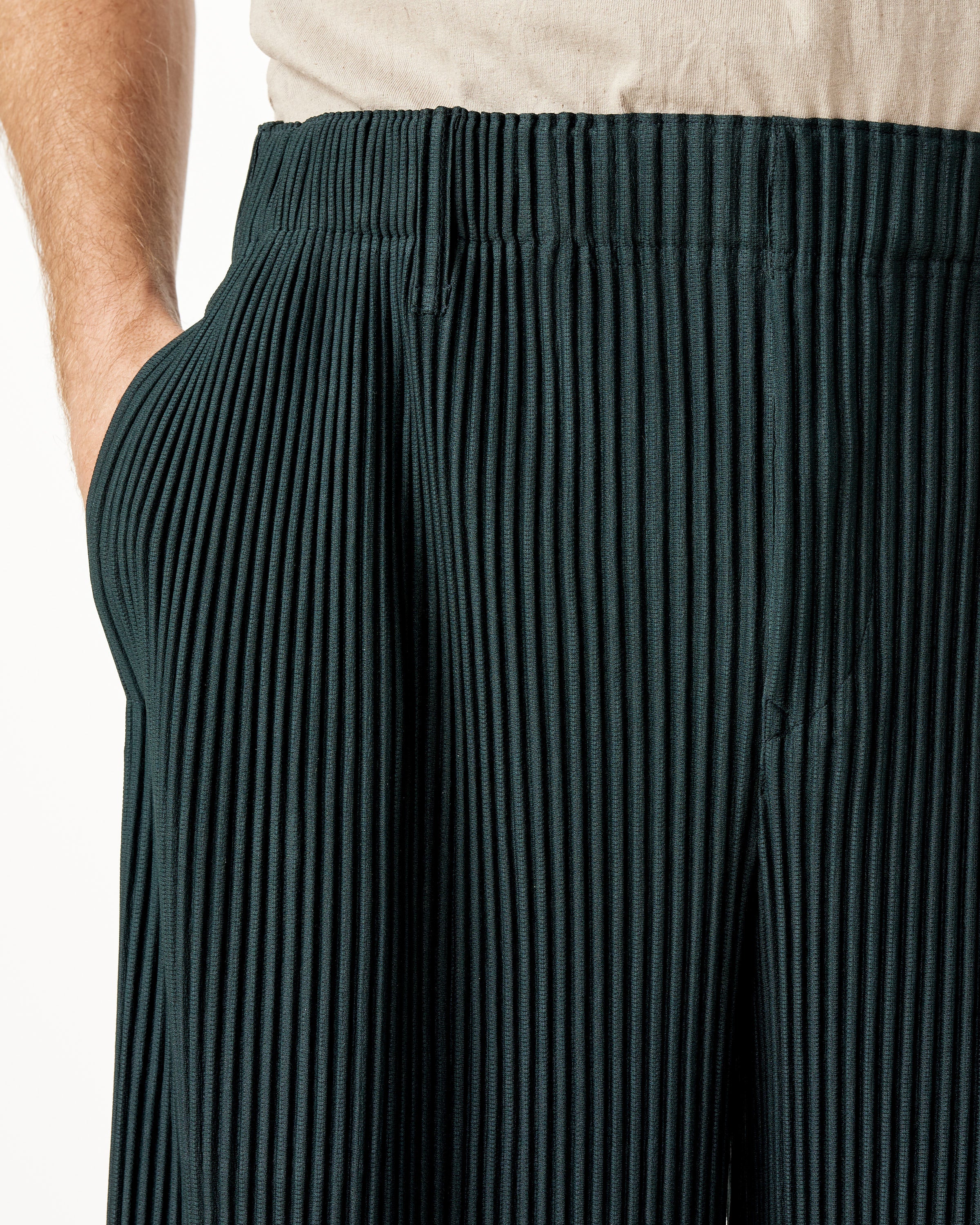 Tailored Pleats 2 Pants