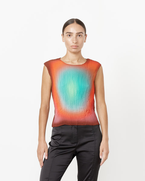 251089_IMG_0699_Reduced_grande